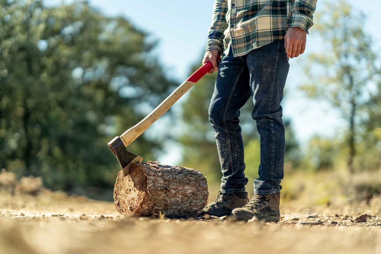 Best Emergency Storm Tree Removal  in Sugarmill Woods, FL